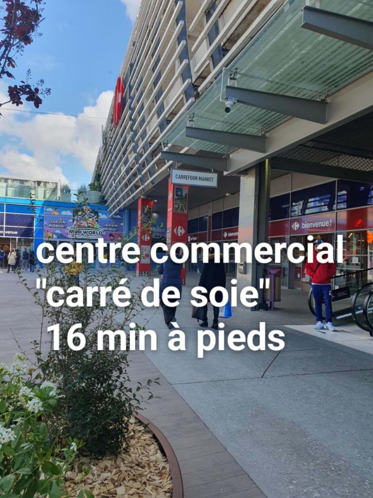 Medipole T2 Avec Un Garage Gratuit Sur Place, 16Min A Centre Ville Lyon En Metro A Villeurbanne Esterno foto